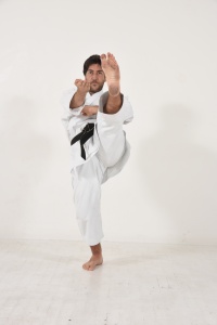 Kihon mae geri