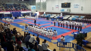Palais des sports Pierre Ratte salut