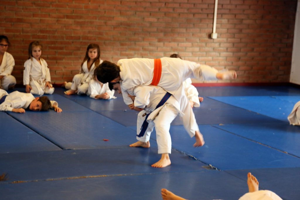 Projection Karaté Kiba Dachi