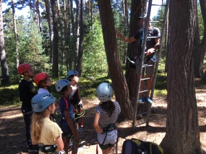 accrobranche stage août 2018