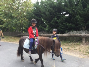 équitation stage karate 2018