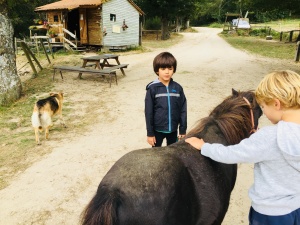 équitation stage karate 2018