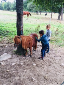 équitation stage karate 2018