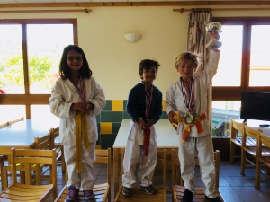 Podium coupe du stage babies stage karate