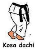 Kosa Dachi
