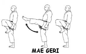 Mae Geri