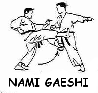 Nami Gaeshi