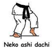 Neko Ashi Dachi
