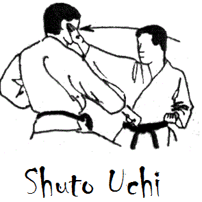 Shuto Uchi