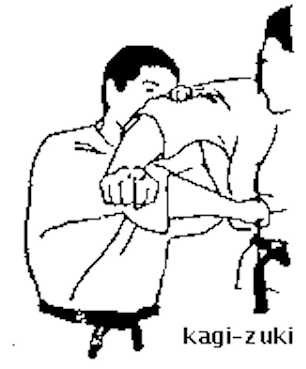Kagi Zuki
