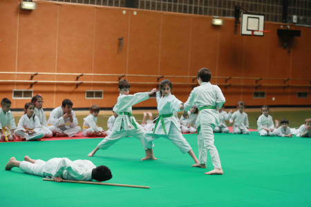 Ceinture verte