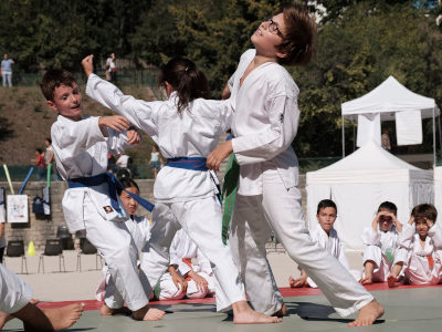 Cours Ceinture Bleue