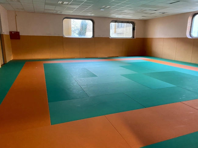 Dojo Cours des Lions