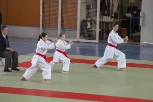 team kata